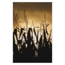 Silhouettes stationery