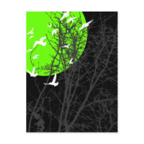 silhouscreen birds