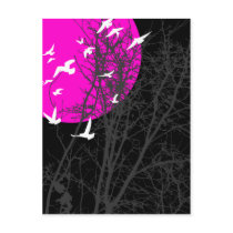silhouscreen birds