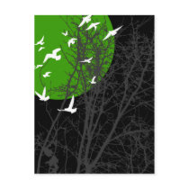 silhouscreen birds