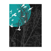 silhouscreen birds