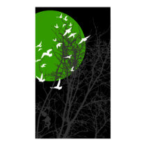 silhouscreen birds