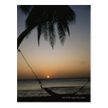 Silhuetted empty hammock at sunset postcards