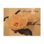 save the date, wedding, peony, peonies, bride,