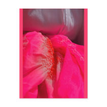 Silk Obi Postcard