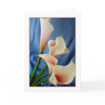 Silk Parade Card by donnabellas Silk Parade Card