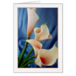 Silk Parade Greeting Card