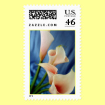 Silk Parade Postage Stamp