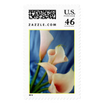 Silk Parade Stamp