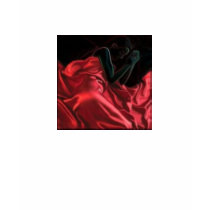 Silk t-shirts by edaldridge Silk t-shirts