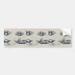 Silk worm Ukiyo-e. Bumper Sticker