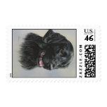 Silka postage