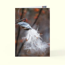 Silken Seeds Fly cards by MoiraAshleigh Silken Seeds Fly cards
