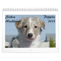 Silken Windhound Puppies 2013 calendars