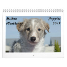 Silken Windhound Puppies 2013 Wall Calendars