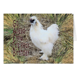 Silkie Rooster card