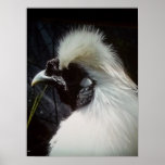 Silkie (The Senator) Posters