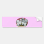 Silkies:  Self Blue2 Bumper Sticker