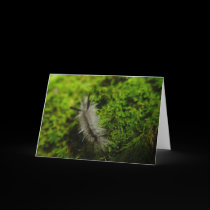 Silky Caterpillar Scales the Moss Greeting Card cards