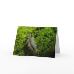 Silky Caterpillar Scales the Moss Greeting Card