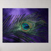 Silky Purple Peacock Feather Posters