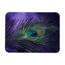 Silky Purple Peacock Feather Rectangular Magnet
