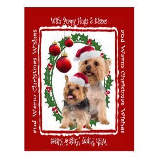 Silky Terrier Christmas Hugs and Kisses Postcard