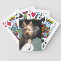 Silky Terrier Puppy Poker Deck