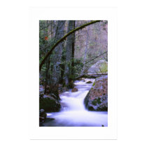 Silky Waters posters