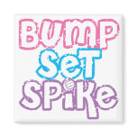 Silla Volleyball magnets