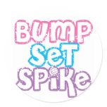Silla Volleyball Round Stickers