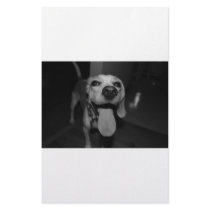 Silly Bella stationery