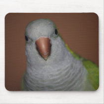 silly buddy mousepads by damredhead silly buddy mousepads