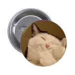 Silly Cat Buton Pinback Button