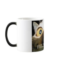 Silly Cat Mug by jmarsom Silly Cat Mug