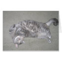 silly cricket kitty cards by alyciakeating silly cricket kitty cards