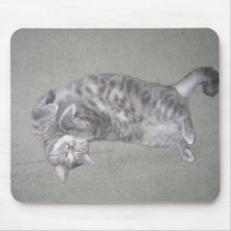 silly cricket mousepads