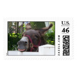Silly Donkey Postage Stamps (LARGE)