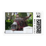 Silly Donkey Postage Stamps (MEDIUM)