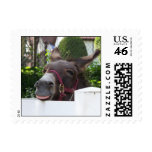 Silly Donkey Postage Stamps (SMALL)