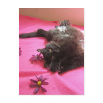 silly gal postcard by KatAnnette silly gal postcard