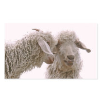 Silly Goats Photo Rectangle Sticker