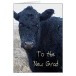 Silly Graduation Congratulations Cow Ranch Farm Cards