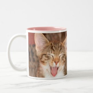 Silly Kitten mug