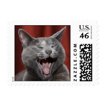 Silly kitty! postage
