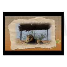 Silly Lion Greeting Cards