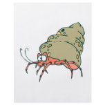 silly little hermit crab flyers