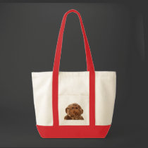 Silly Monkey bags