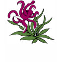 Silly Octopus t-shirts by marcya7 Silly Octopus t-shirts