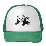 animals, animal, panda, pandas, bear, bears, jungle, bamboo, wildlife